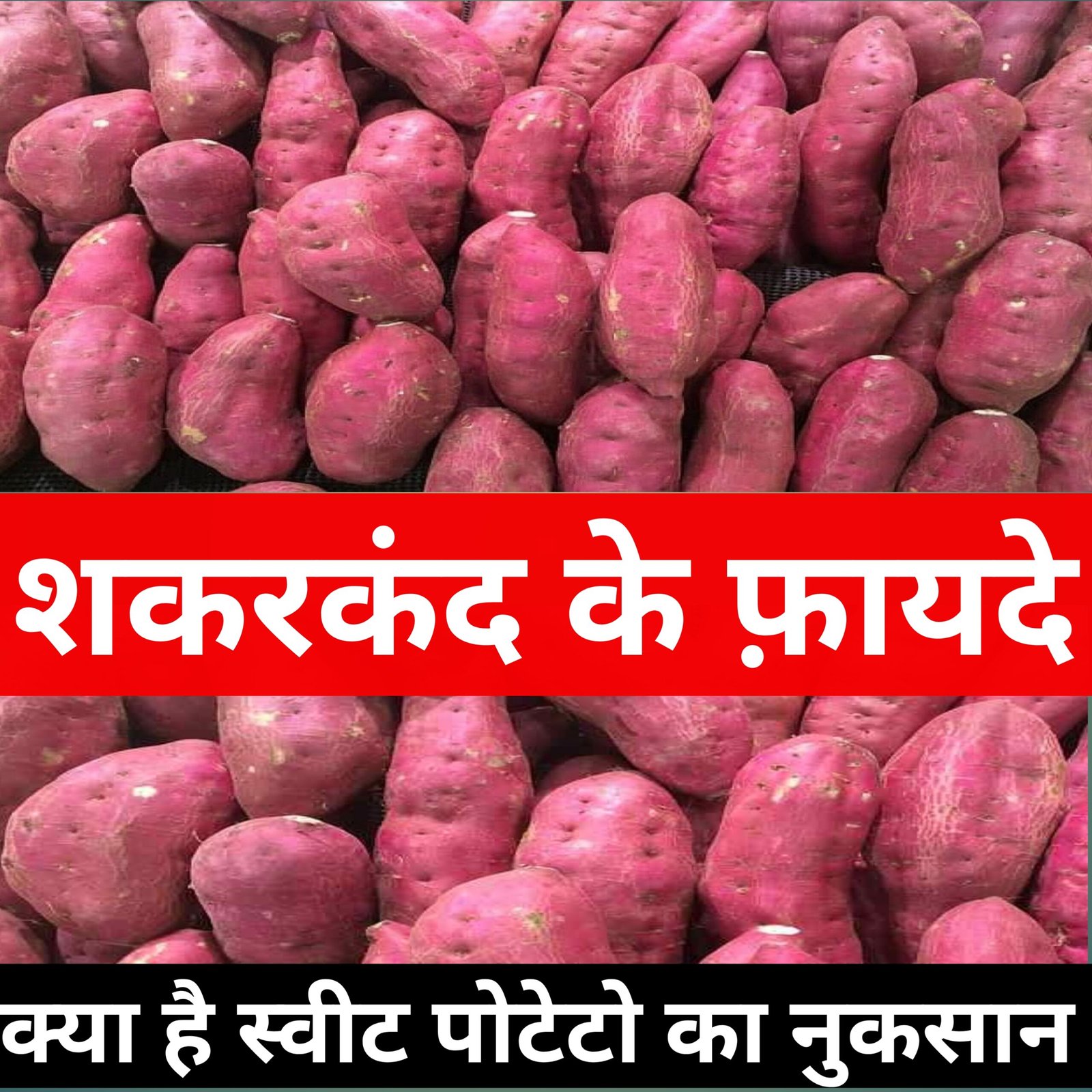 sweet potato benefits