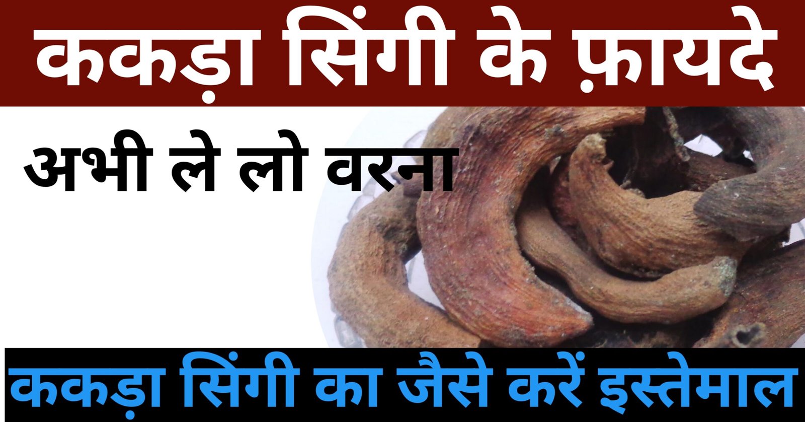 ककड़ा सिंगी के फायदे