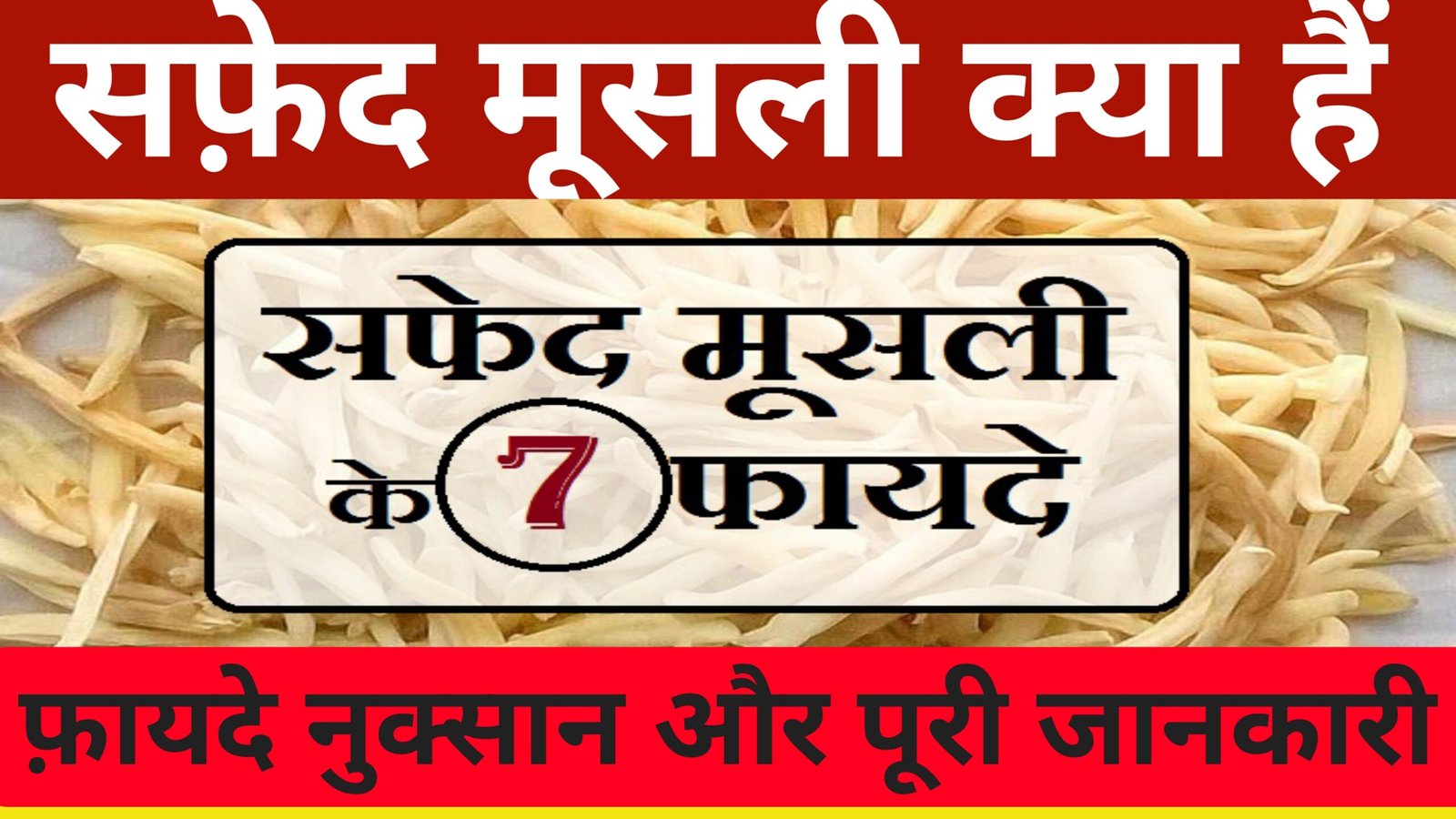 सफ़ेद मुसली है इतनी सारी बीमारी की इलाज