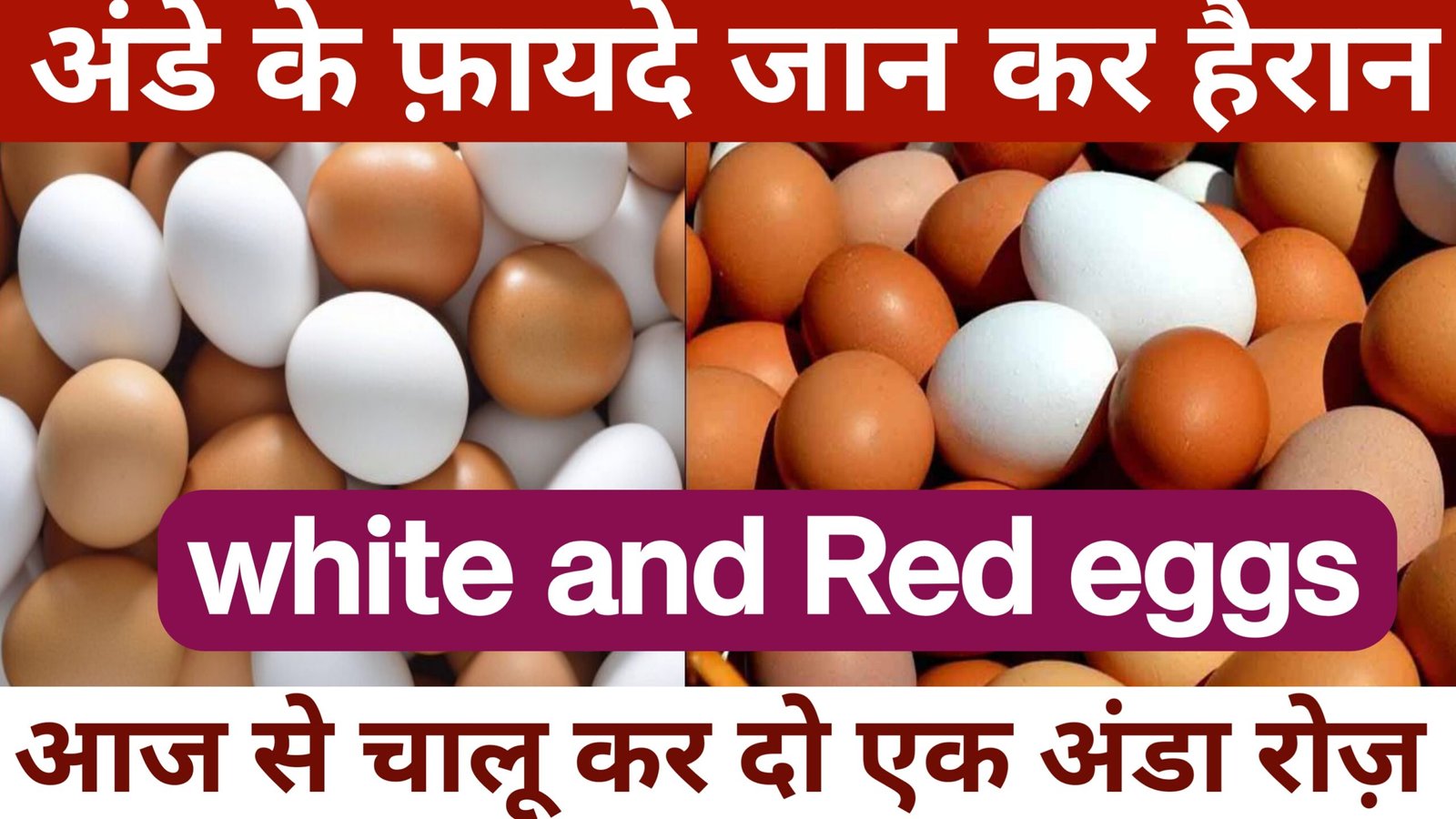 अंडे के फायदे और नुकसान 