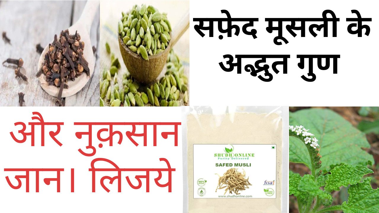 सफ़ेद मुसली के अद्भुत फायदे क्या है