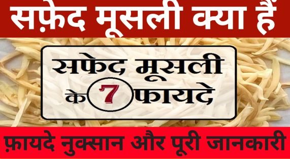 सफ़ेद मुसली है इतनी सारी बीमारी की इलाज